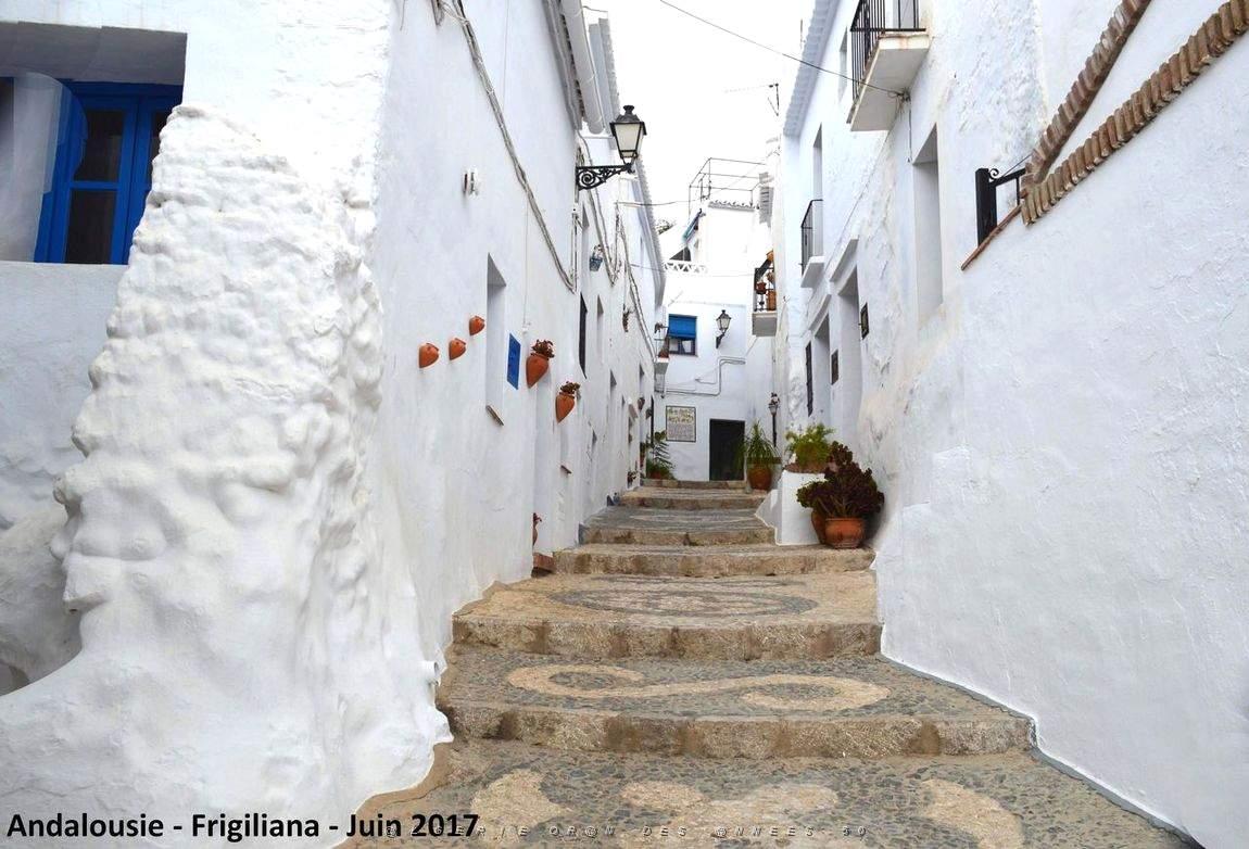 555 - Frigiliana.JPG